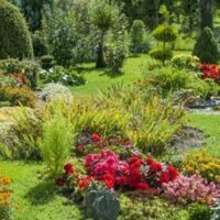 Arboretum