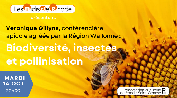 2025-10-14 NEWSLETTER