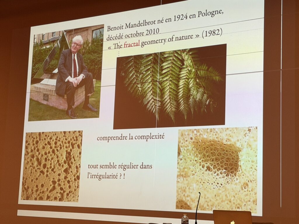 2026-03-02 photo (4)