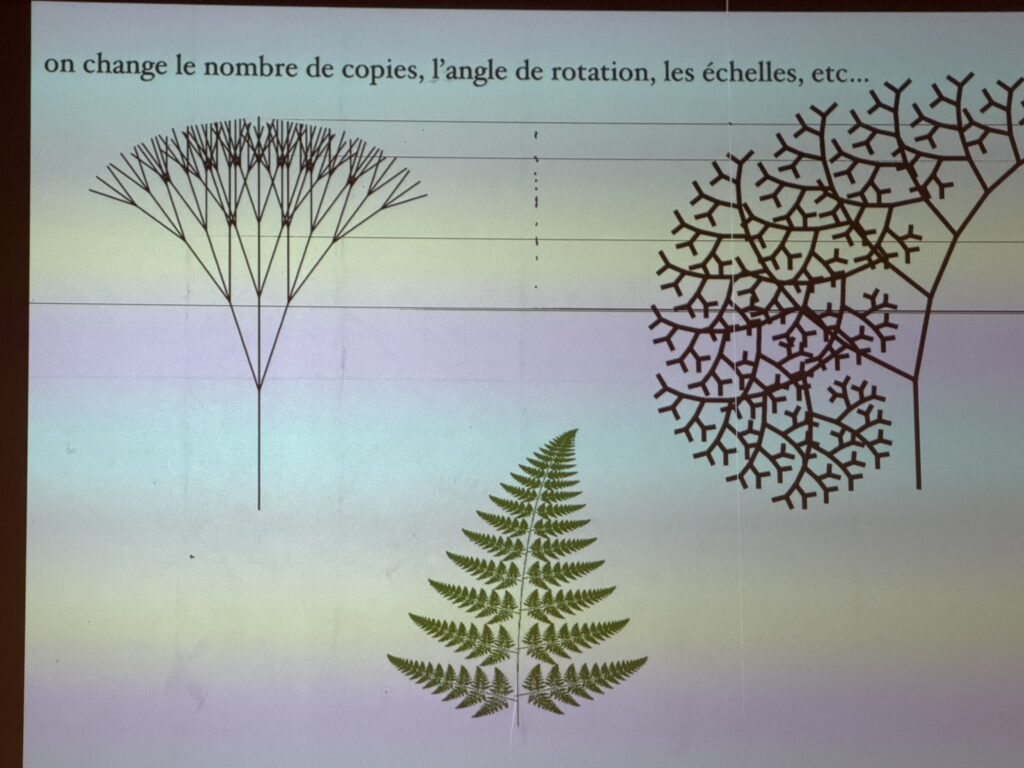 2026-03-02 photo (8)